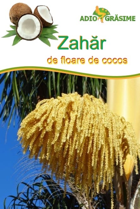 Zahar de floare de cocos (indulcitor natural de cocos)250g